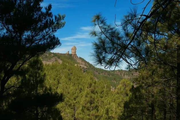 Un lontano monolito roccioso su un crinale montuoso boscoso, incorniciato da rami di pino in silhouette sotto un cielo azzurro limpido.