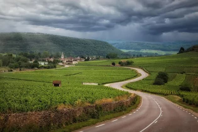 France 360°: through Paris, Bordeaux and Lyon