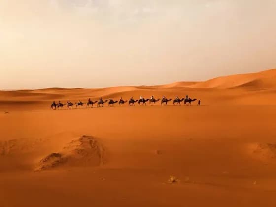 Un viaggio di gruppo WeRoad in carovana di cammelli attraverso vaste dune di sabbia arancione nel deserto.