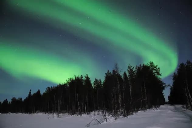 The green aurora borealis lights up a starry night sky above a snow-covered landscape and a dark pine forest.