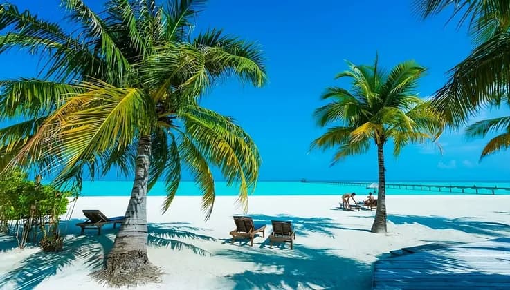 Palmeras en una playa de arena blanca con tumbonas frente a un océano turquesa y un muelle en la distancia bajo un cielo azul claro.