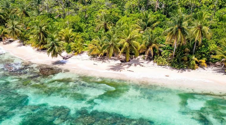 Una vista aerea di una spiaggia tropicale con sabbia bianca, palme e acqua cristallina turchese accanto a una giungla lussureggiante.
