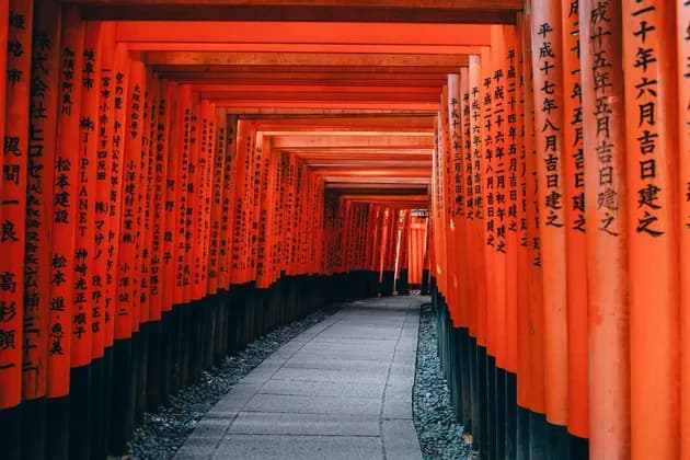A stone pathway extends through a tunnel of closely packed, bright orange torii gates with Japanese calligraphy.