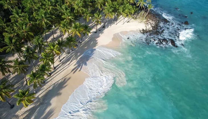 Vista aerea di una spiaggia tropicale con acqua turchese che lambisce la sabbia bianca, delimitata da un denso palmeto.