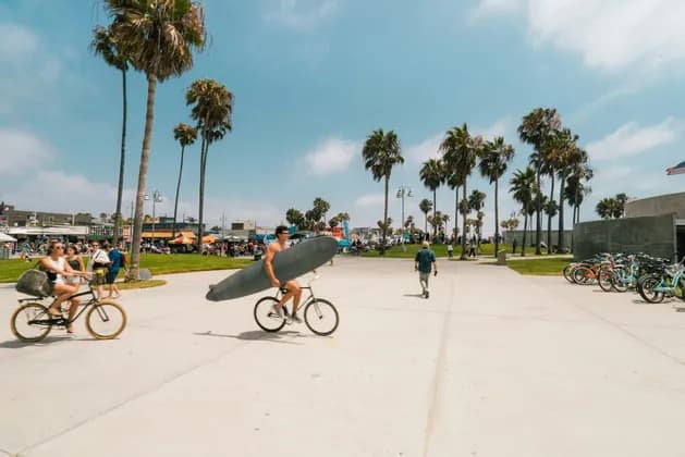 A man on a bicycle carries a surfboard along a wide, paved path lined with tall palm trees on a sunny day.