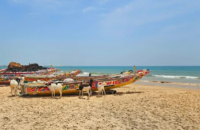 Eine Gruppe Ziegen steht an einem Sandstrand neben mehreren großen, farbenfroh bemalten Fischerbooten mit dem Ozean im Hintergrund.