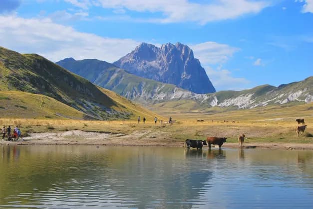 Un viaggio di gruppo WeRoad presso un lago di montagna, con mucche nell'acqua e un'imponente cima rocciosa sullo sfondo.