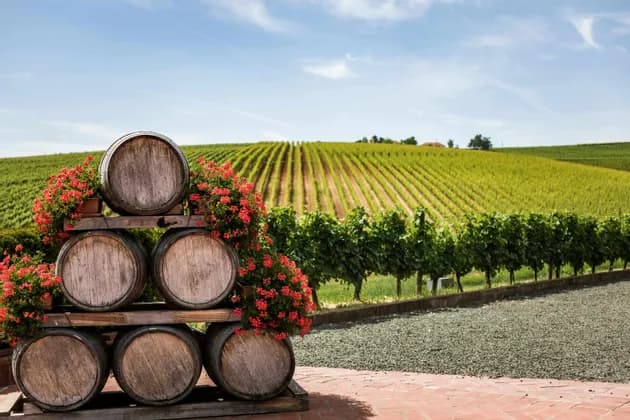 A stack of wooden barrels decorated with red flowers sits on a patio overlooking a vast vineyard on a rolling hill.