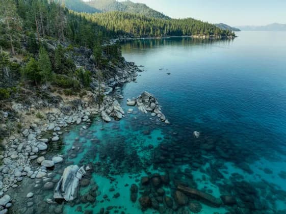 Aerial view of a rocky shoreline with clear, turquoise water showing submerged boulders beside a dense pine forest.