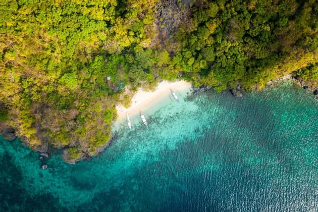 Una vista aerea di una spiaggia appartata con diverse barche in acqua turchese, delimitata da una fitta foresta verde.
