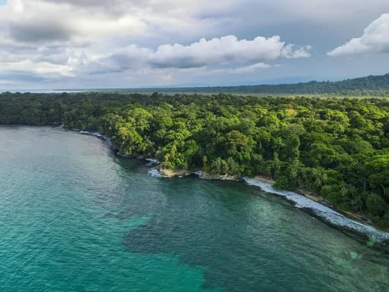 Una vista aérea de una exuberante selva verde que se encuentra con el océano turquesa a lo largo de una costa rocosa bajo un cielo parcialmente nublado.