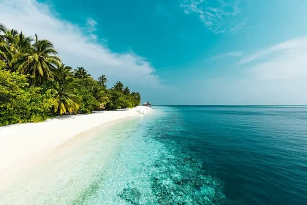 Vista aerea di una spiaggia tropicale con sabbia bianca, palme e acqua cristallina turchese.