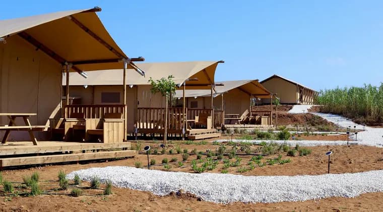 Una fila di tende glamping con verande in legno si trova lungo un sentiero di ghiaia bianca in un'area paesaggistica sotto un cielo azzurro e limpido.
