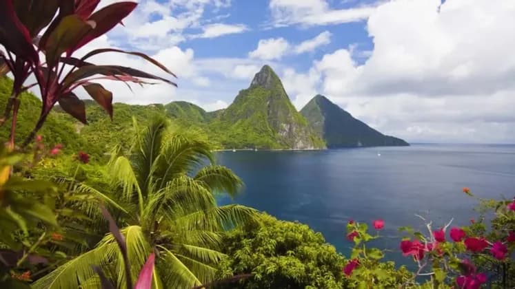 Una vista panoramica di due montagne verdi e coniche che emergono dall'oceano, con rigogliosa vegetazione tropicale e fiori in primo piano.
