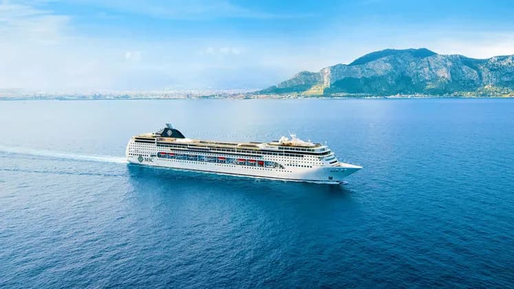 Una nave da crociera bianca che naviga su un mare blu calmo, con una costa montuosa sullo sfondo.