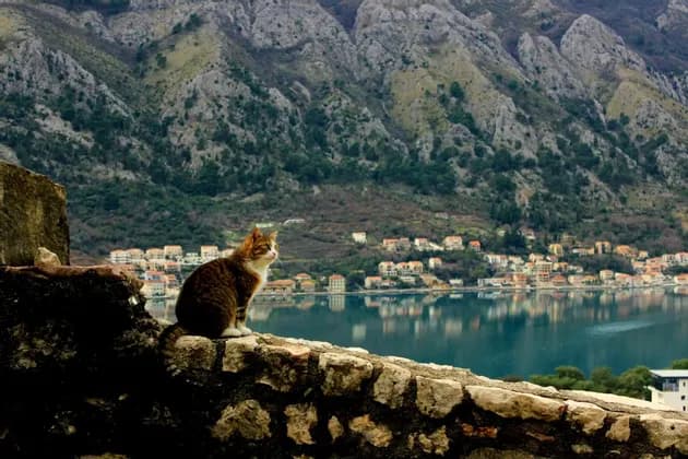 Balcani backpack: Serbia, Bosnia e Montenegro