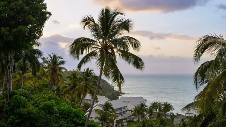 Jamaïque Beach Life – Cascades, Reggae & Routes du Café