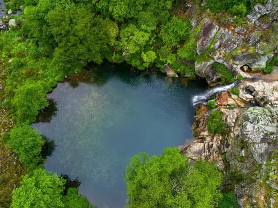Una vista aerea di una cascata che scende dalle rocce in una piscina naturale trasparente circondata da alberi verdi.