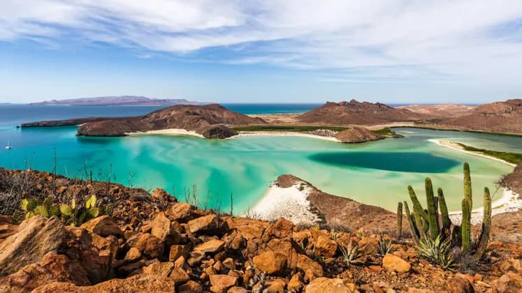 Baja California: ocean vibes tra templi, cactus e balene