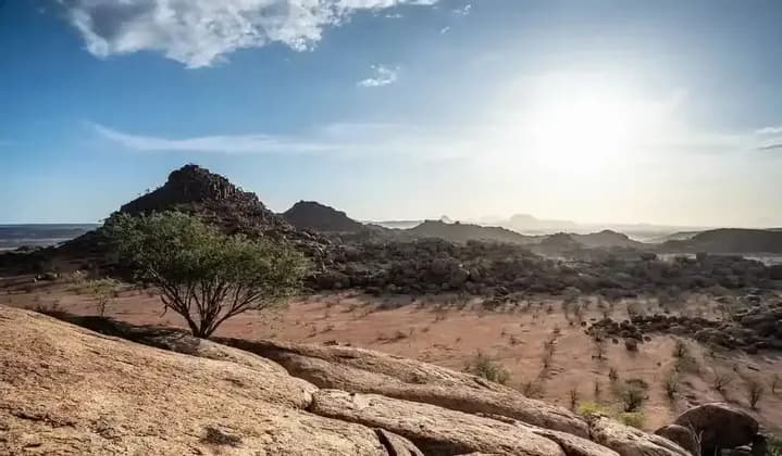 Un albero verde solitario su uno sperone roccioso si affaccia su una vasta valle desertica e montagne sotto un sole splendente.