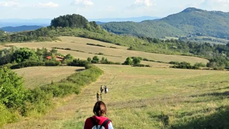 Un gruppo WeRoad in trekking su sentiero sterrato attraverso dolci colline verdi e campi di giorno.
