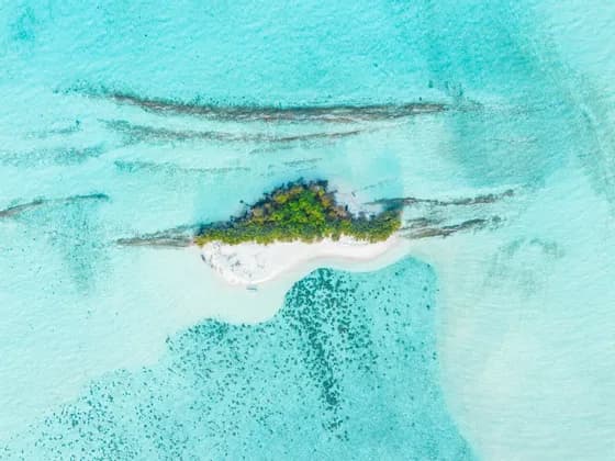 Vista aerea di una piccola isola tropicale con spiaggia di sabbia bianca e alberi verdi, immersa in acque cristalline e turchesi.