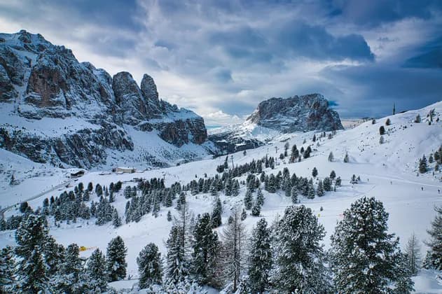 Pinos cubiertos de nieve y escarpados picos montañosos bajo un cielo nublado de invierno.