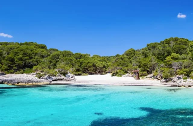 Eine abgelegene Bucht mit weißem Sand und klarem türkisfarbenem Wasser, umgeben von einem üppigen grünen Wald unter einem strahlend blauen Himmel.