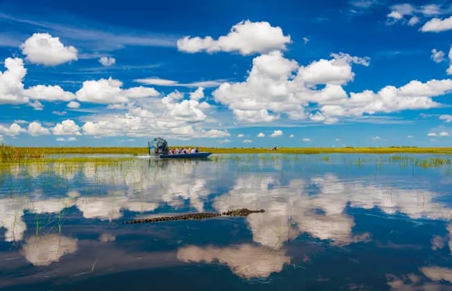 Un viaje en grupo de WeRoad en un hidrodeslizador navega por un pantano mientras un caimán nada en primer plano bajo un cielo azul nublado.