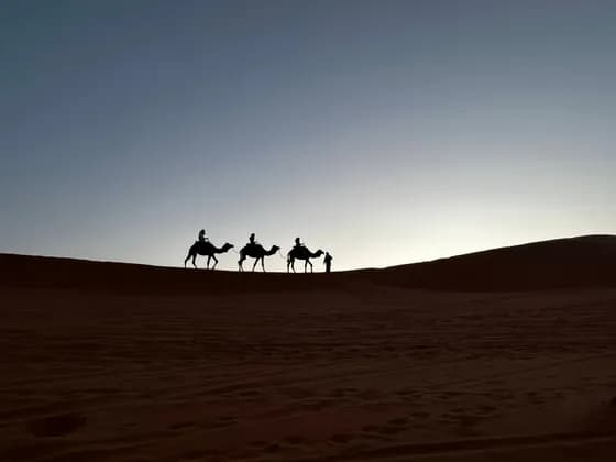 Silhouetten einer WeRoad-Gruppe auf einer Kamelkarawane über einer großen Sanddüne vor klarem Dämmerungshimmel.