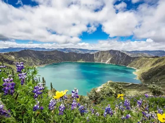 Vue plongeante sur un lac turquoise dans un cratère volcanique, avec des fleurs sauvages violettes et jaunes au premier plan.
