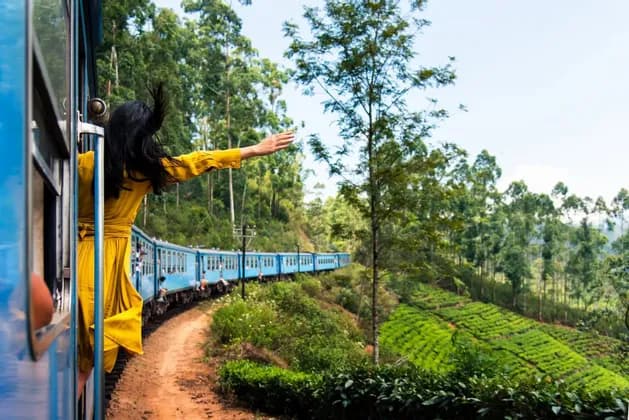 A person in a yellow dress leans out of a blue train window traveling through lush green tea plantations.