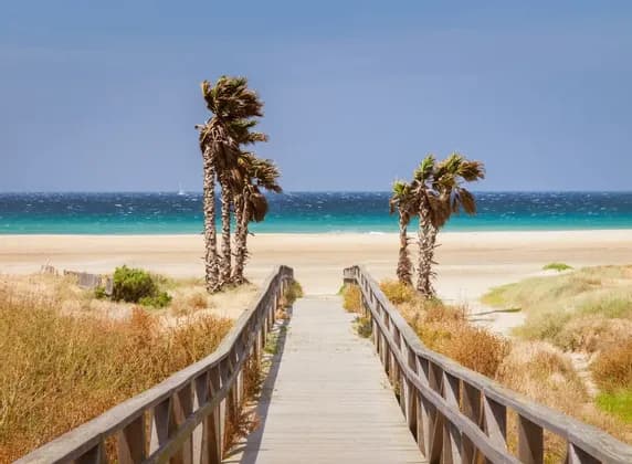 Ein Holzsteg führt durch Sanddünen mit Palmen zu einem Strand mit blauem Meerwasser unter klarem Himmel.