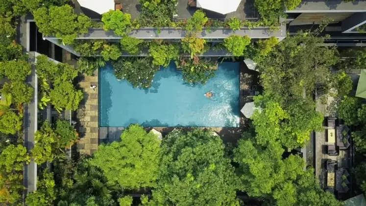 Luftaufnahme einer schwimmenden Person in einem rechteckigen Pool, umgeben von üppigen grünen Bäumen und moderner Hotelarchitektur.