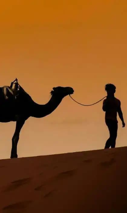 Silhouette einer Person, die ein Kamel über eine Sanddüne vor einem leuchtend orangefarbenen Himmel führt.