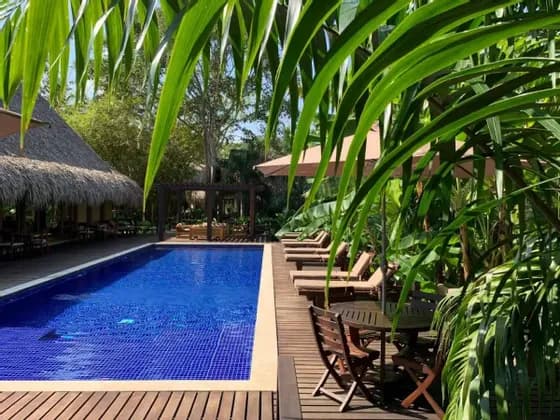 Una piscina tropical de resort con un deck de madera y tumbonas, enmarcada por grandes hojas de palma verdes.