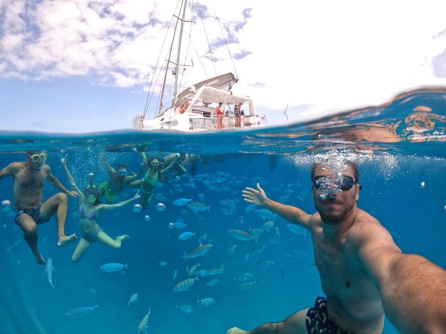 Bajo el mar en velero en Fuerteventura