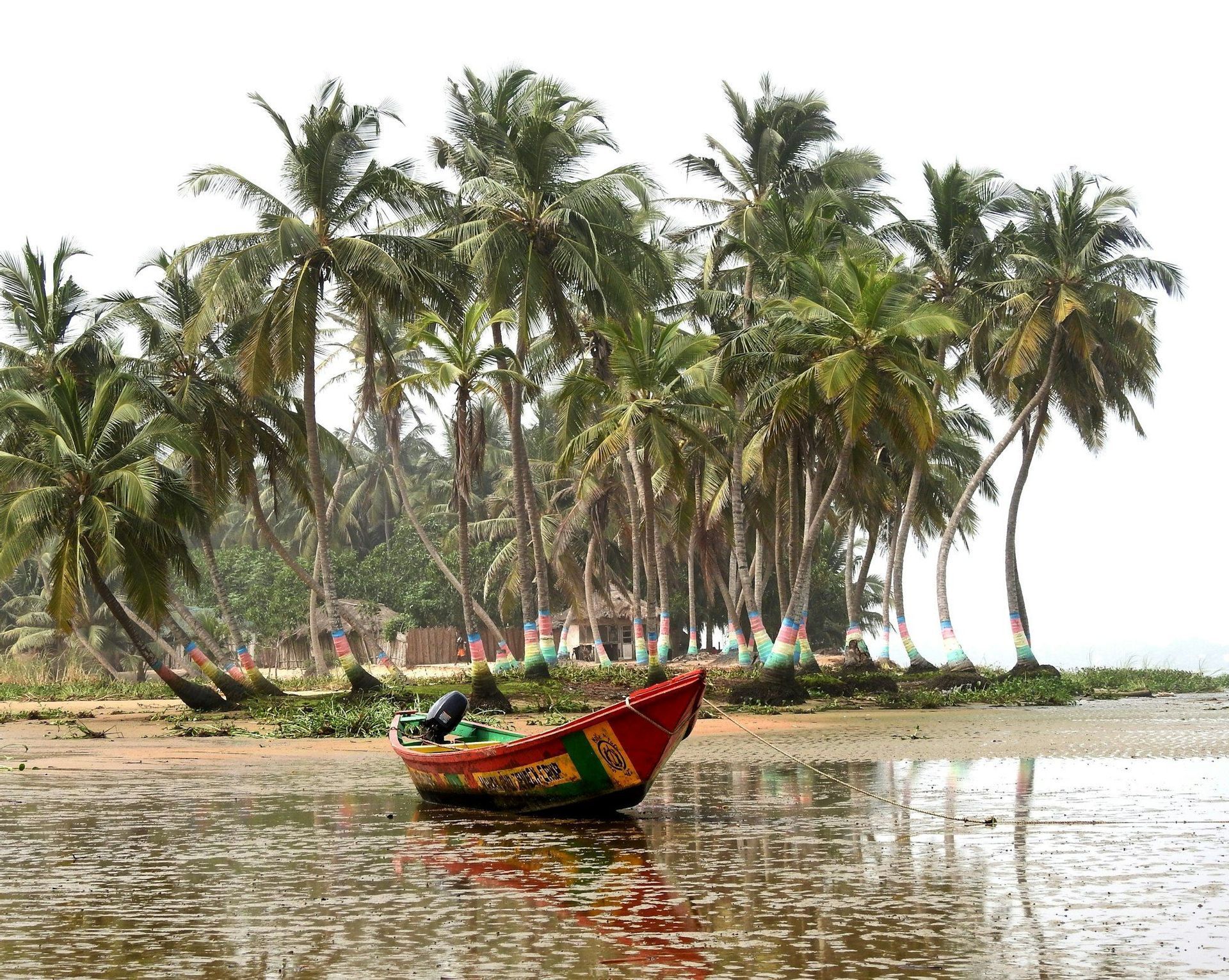 A colorful boat is moored in shallow water on a beach in front of palm trees with rainbow-painted trunks.