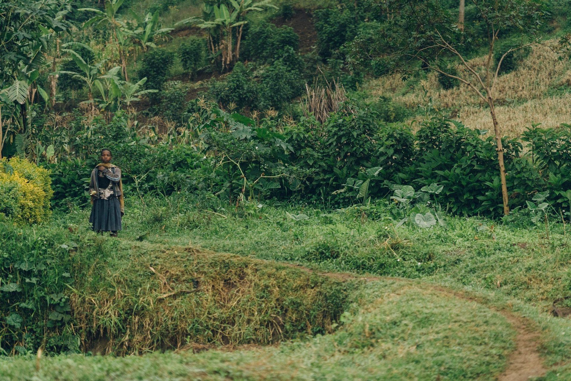 A woman carrying a baby on her back stands on a grassy knoll next to a dirt path in a lush, green, and hilly landscape.
