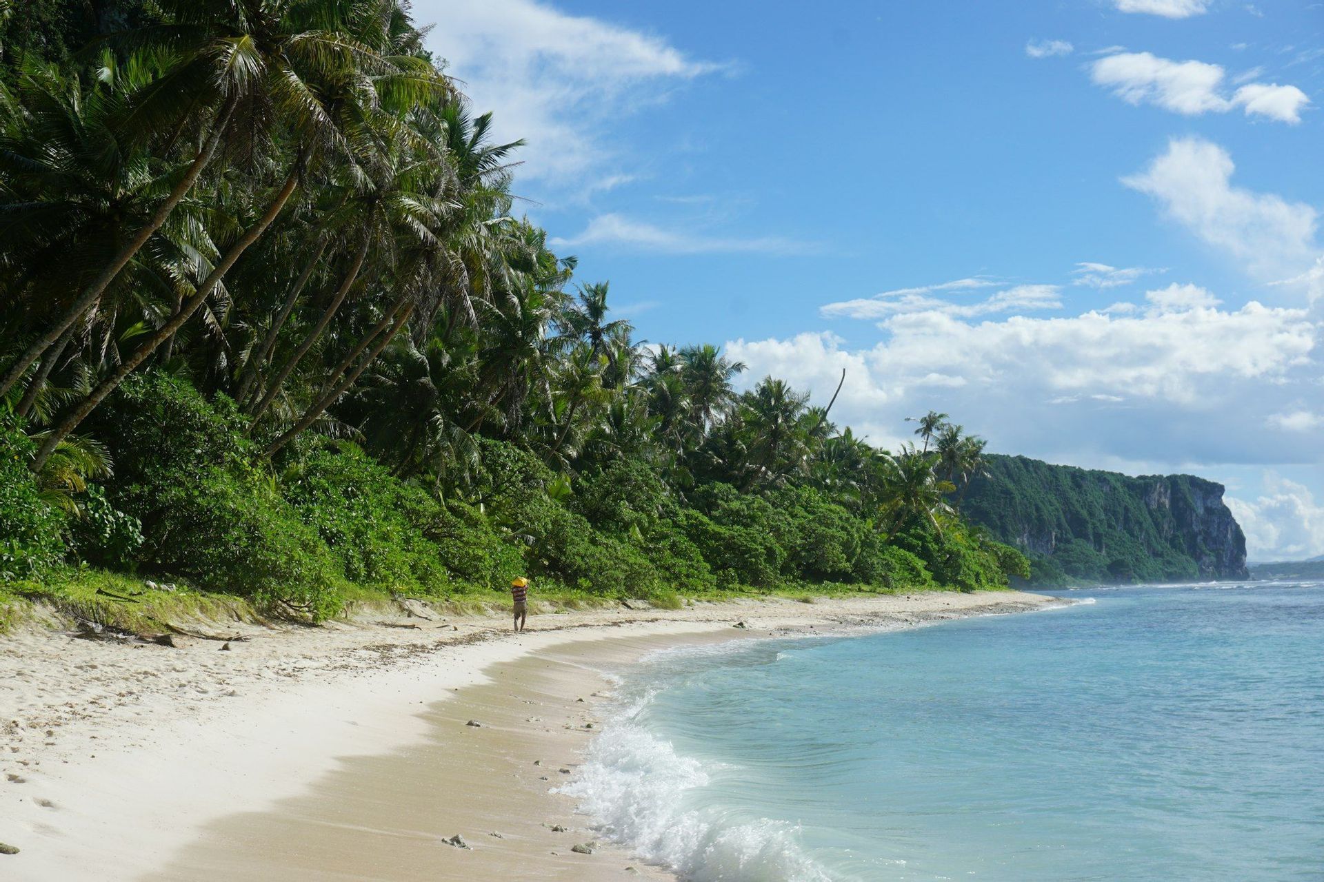 Una persona cammina su una spiaggia di sabbia bianca lungo l'oceano turchese, con una fitta foresta di palme e una scogliera distante sotto un cielo azzurro.