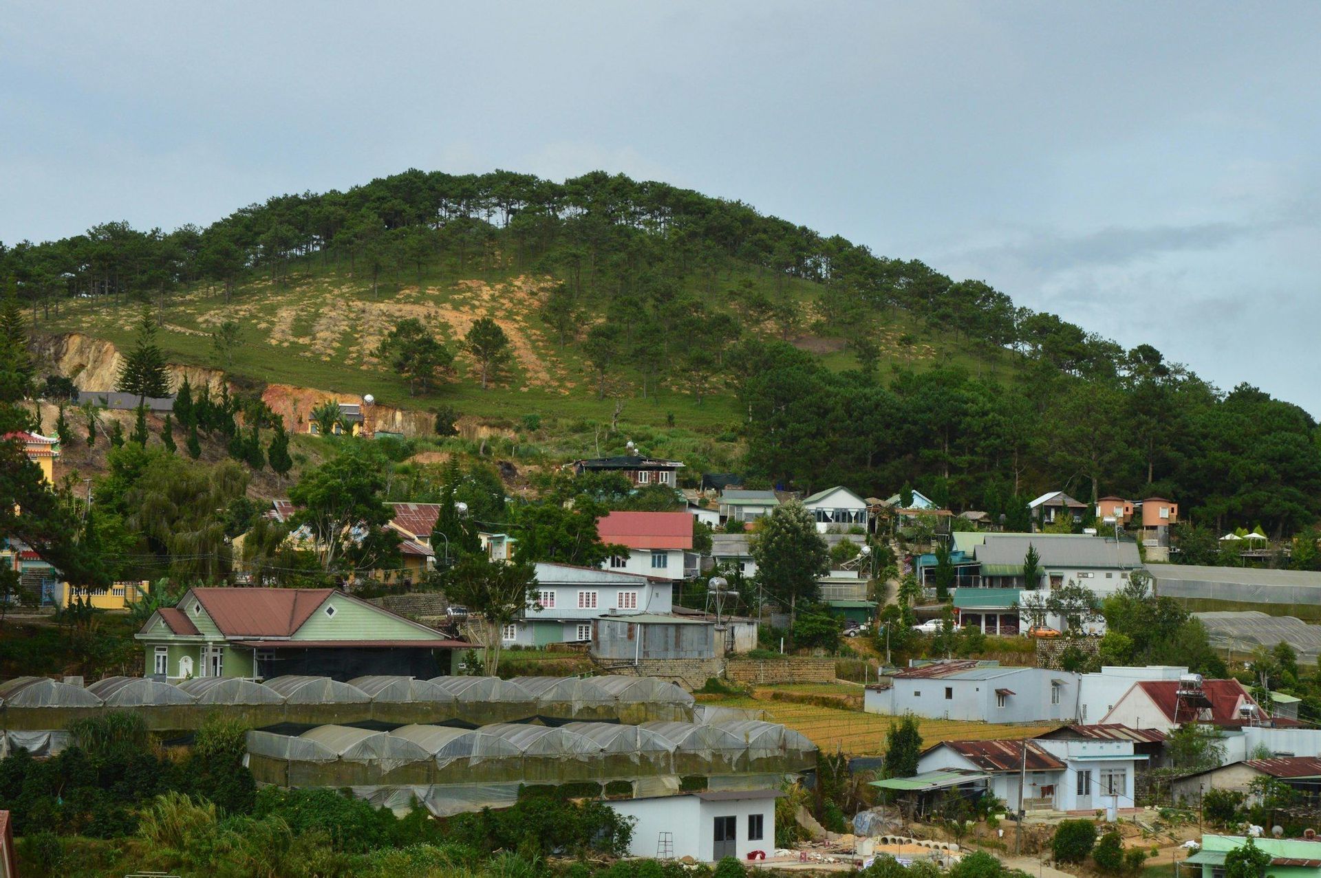 Un pueblo con casas dispersas e invernaderos se encuentra en la ladera de una gran colina arbolada.