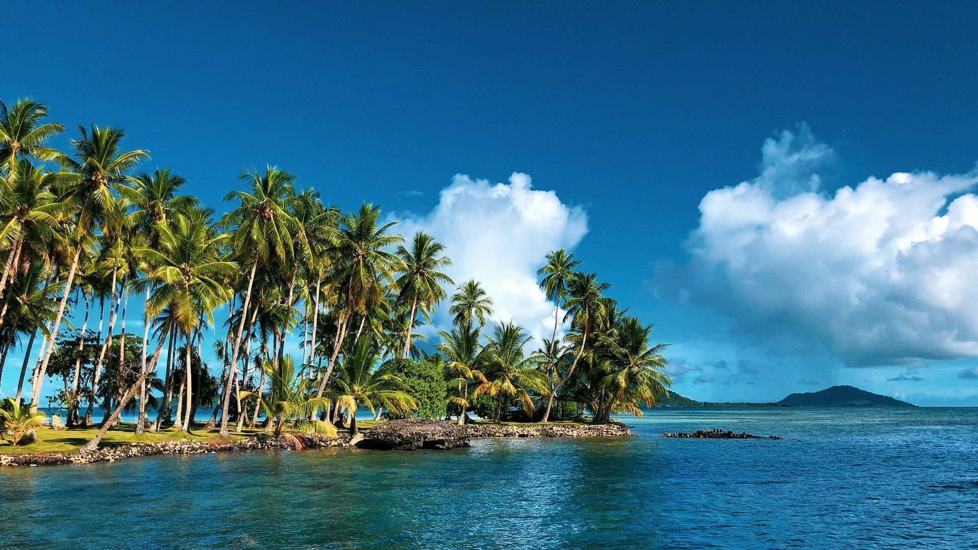 Une île tropicale recouverte de palmiers s'étend dans des eaux turquoise sous un ciel bleu avec des nuages blancs.