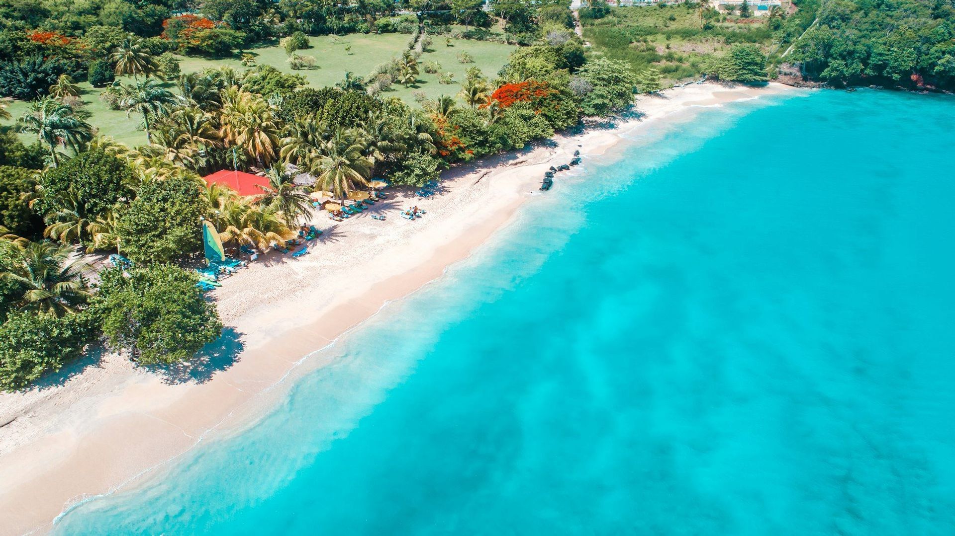 Une vue aérienne d'un littoral tropical où une eau turquoise vibrante rencontre une plage de sable bordée de palmiers.