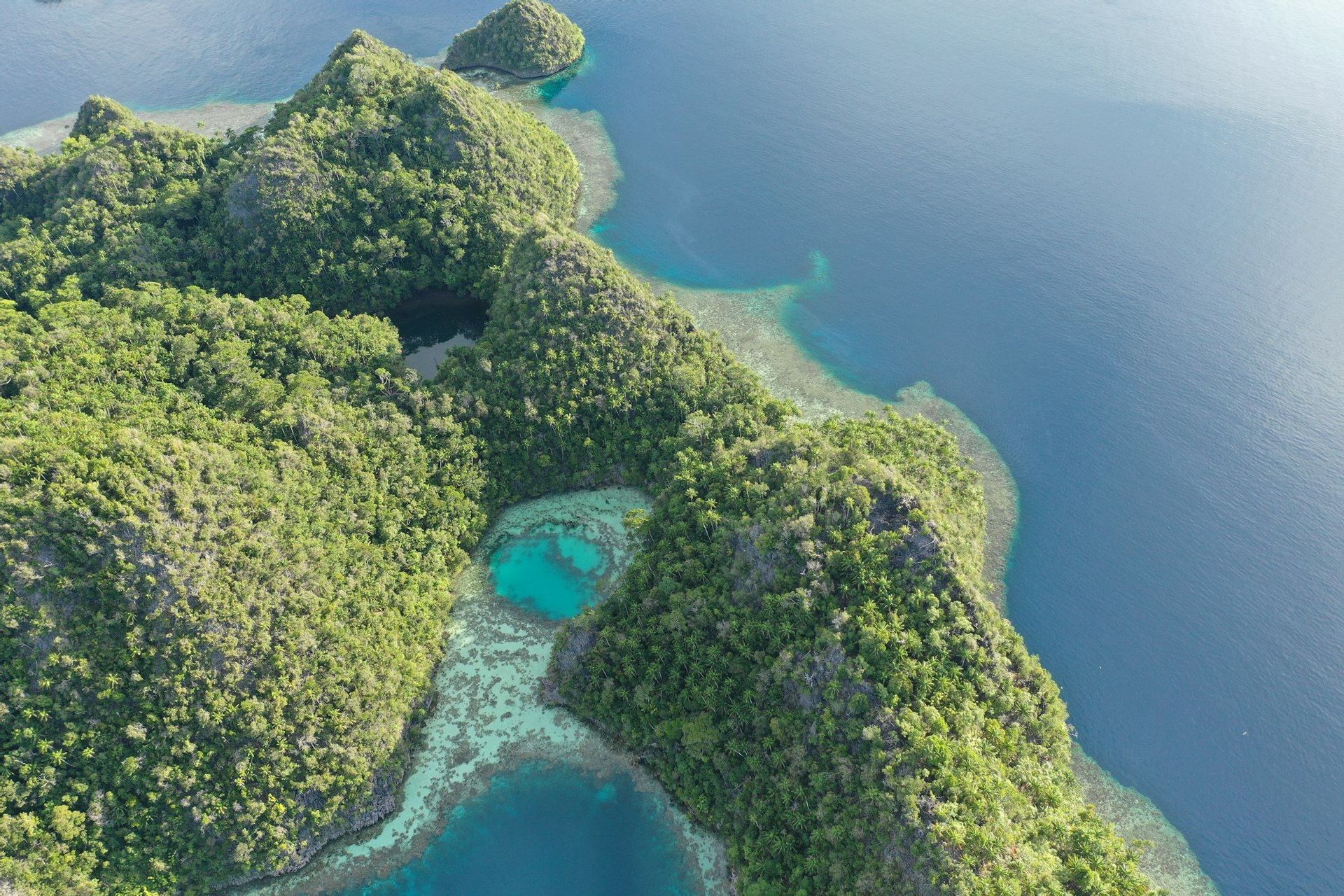 Vue aérienne d'îles luxuriantes et boisées, entourées de récifs coralliens turquoise et d'eaux océaniques d'un bleu profond.