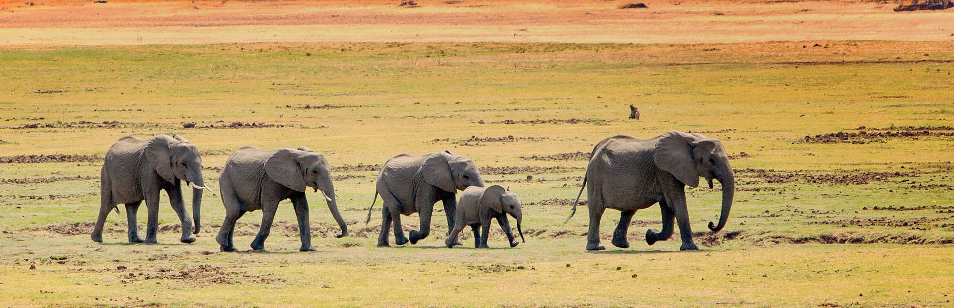 Gruppenreisen in Südafrika