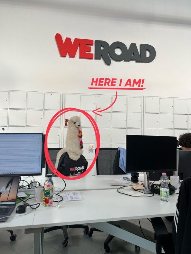Una mascotte di lama in peluche con maglietta nera WeRoad è seduta su una sedia da ufficio davanti a una parete di armadietti.