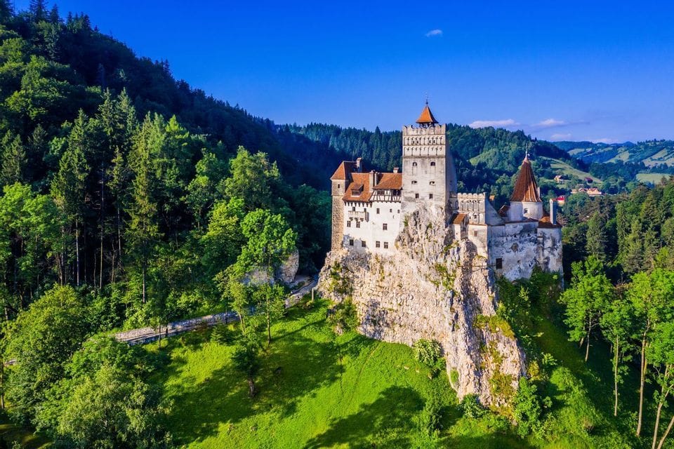 Ein historisches weißes Schloss mit roten Dächern thront auf einer felsigen Klippe, umgeben von einem üppigen grünen Wald unter einem klaren blauen Himmel.