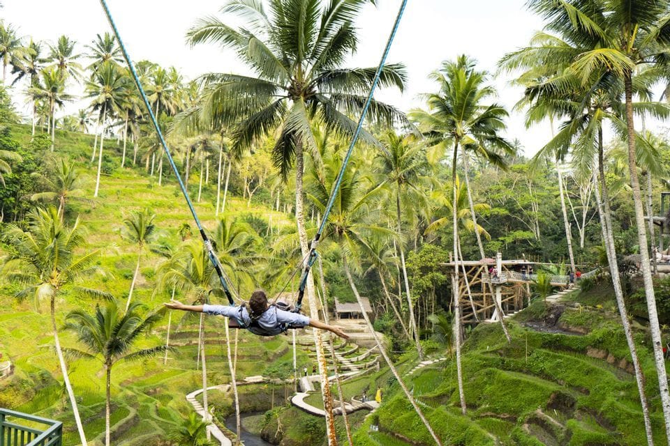 A person on a large swing with arms outstretched, flying over lush green rice terraces and palm trees.