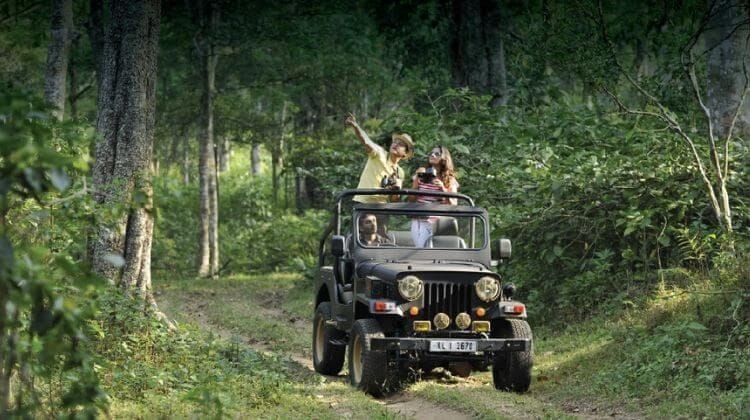 Un voyage de groupe WeRoad de trois personnes dans une jeep décapotable sur un chemin de terre à travers une forêt. Un homme montre du doigt tandis qu'une femme regarde aux jumelles.