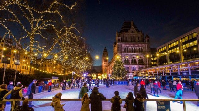 Des gens patinent sur une patinoire extérieure la nuit, avec un grand sapin de Noël et des arbres décorés de guirlandes lumineuses.